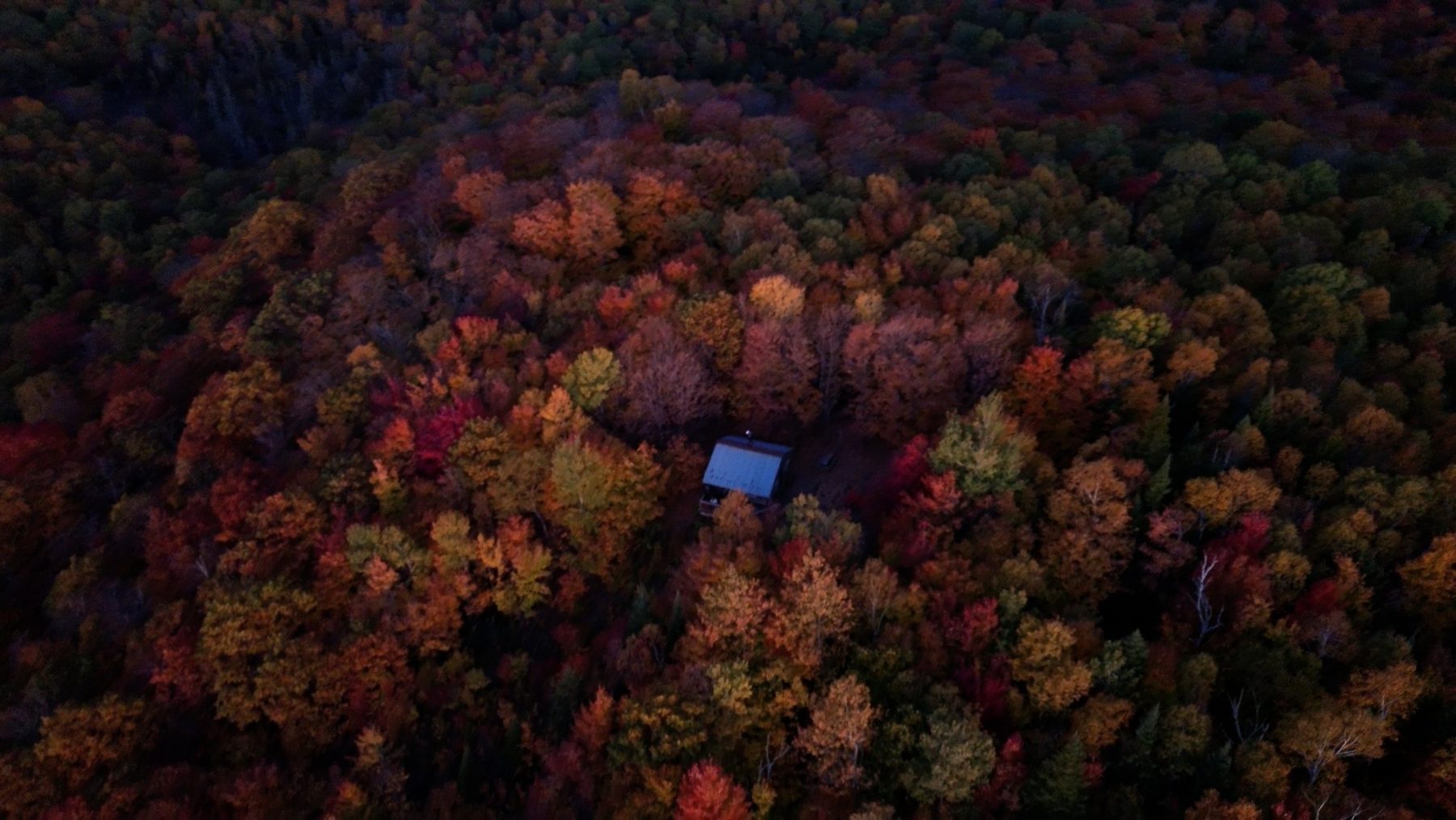 Vue aérienne d'un chalet caché dans une forêt aux couleurs d'automne, au crépuscule