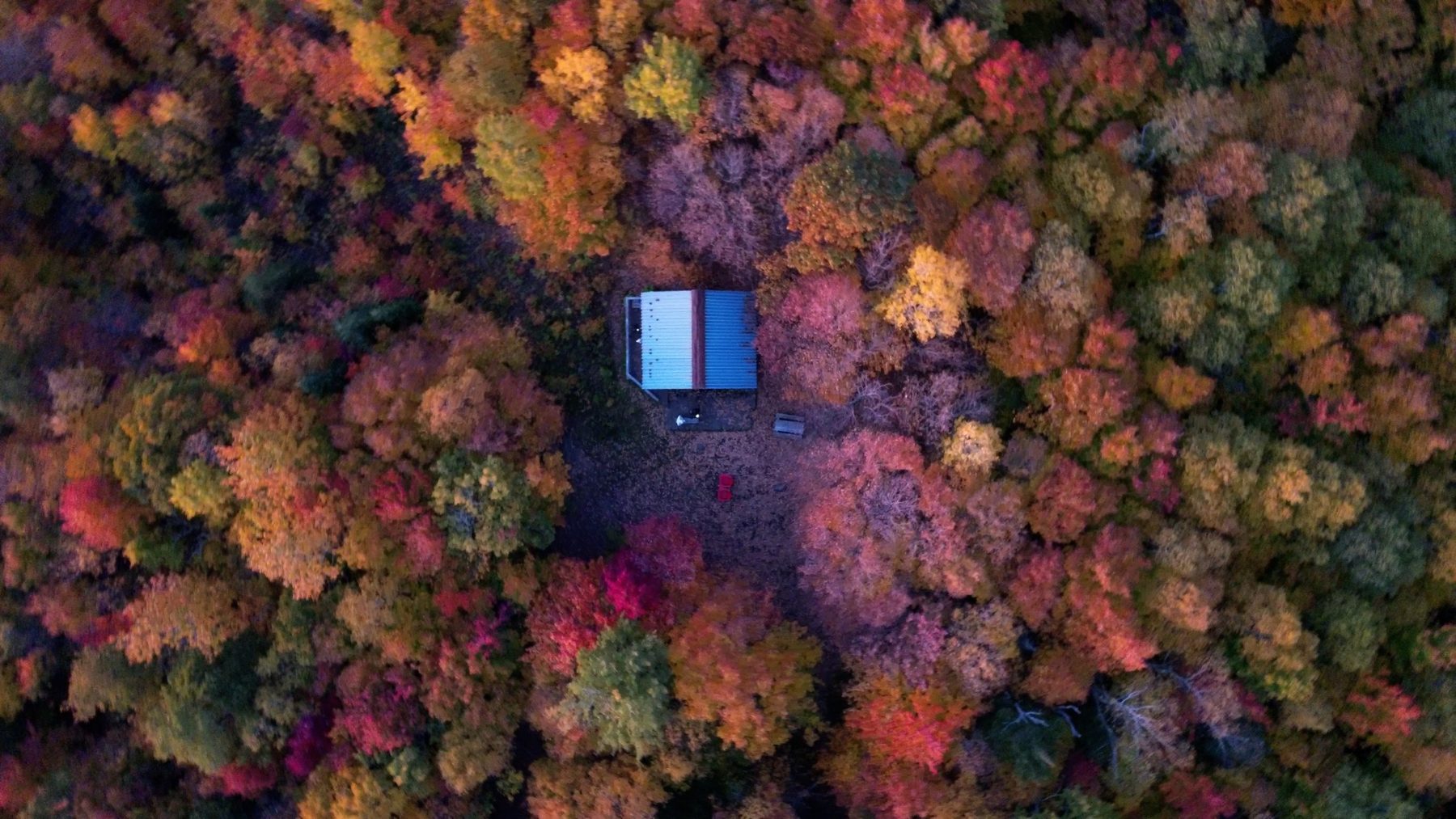 Vue aérienne à la verticale d'un chalet entouré d'arbres aux couleurs d'automne